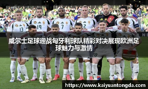 奇异果体育官方入口