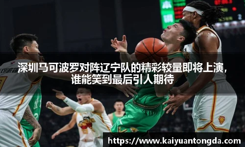 奇异果体育官方入口